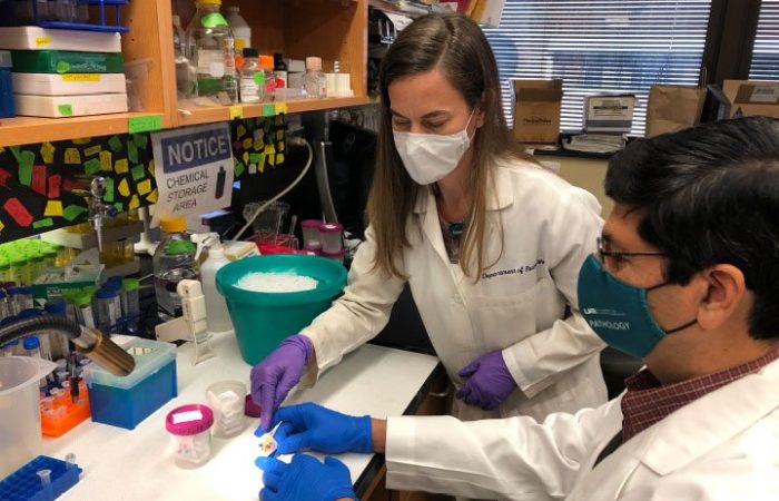 Tumor-Killing Cells And Curing Metastasis: UAB Scientists Talk BCRFA-Funded Breakthroughs And Progress